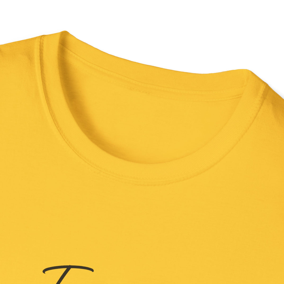 T-Shirt "Familia meu maior tesouro"